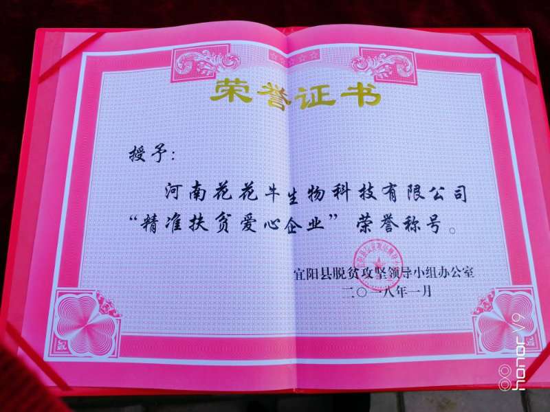 關(guān)愛成長(zhǎng) 相伴未來——精準(zhǔn)扶貧“暖冬公益行”走進(jìn)宜陽(yáng)縣白楊鎮(zhèn)