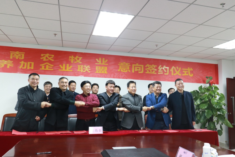 涉農(nóng)企業(yè)強(qiáng)強(qiáng)聯(lián)合，“抱團(tuán)取暖”共迎企業(yè)發(fā)展的春天