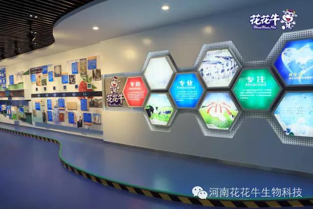 花花牛：務實、創(chuàng)新領潮市場 大企業(yè)體現(xiàn)大擔當