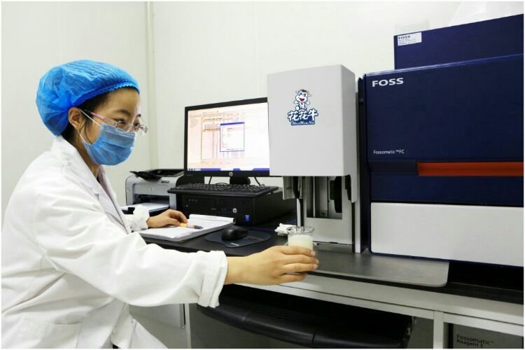 花花牛：務實、創(chuàng)新領潮市場 大企業(yè)體現(xiàn)大擔當