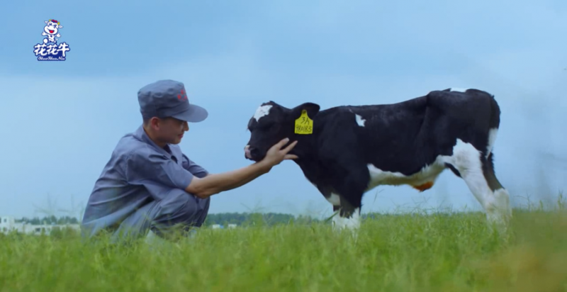 中國動物衛(wèi)生流調(diào)中心首席科學(xué)家范偉興一行蒞臨花花牛郟縣發(fā)展、魯山瑞亞參觀調(diào)研