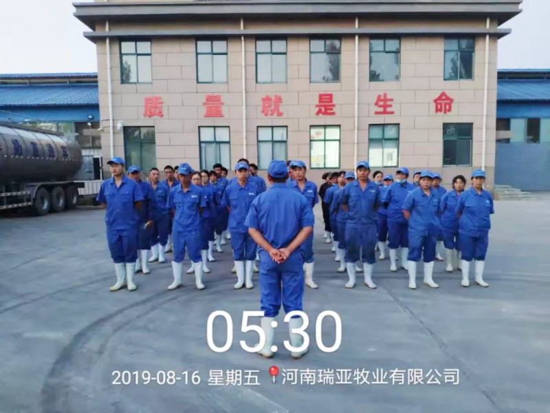 小晨會·大能量——砥礪奮進的花花牛，加油！